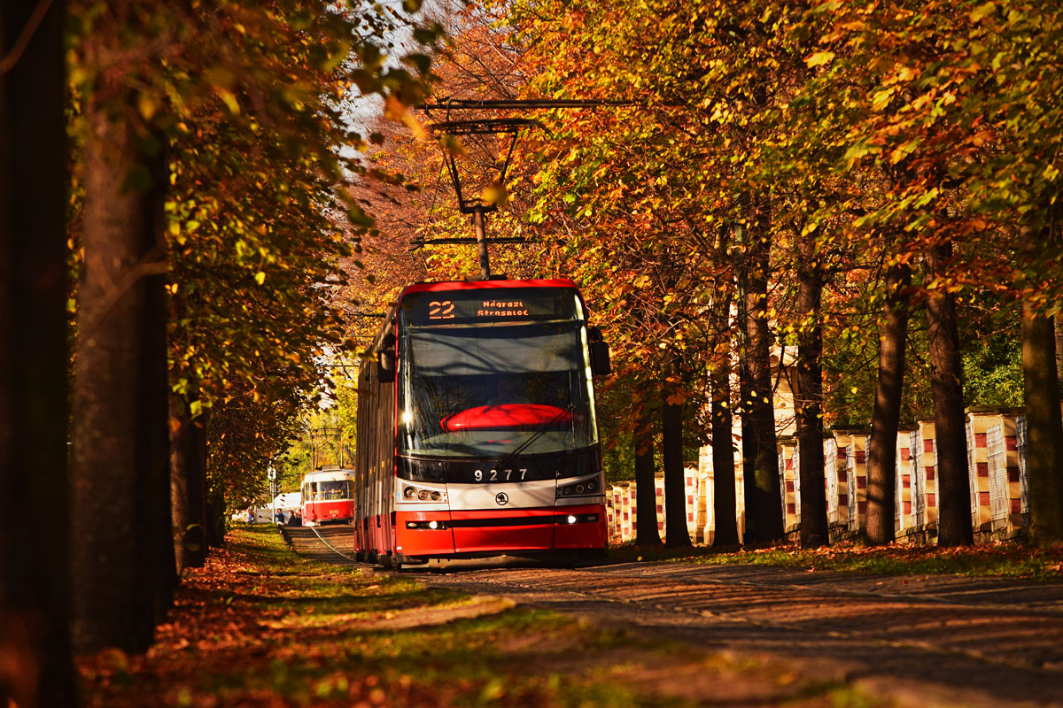 Прага, Škoda 15T3 ForCity Alfa Praha № 9277