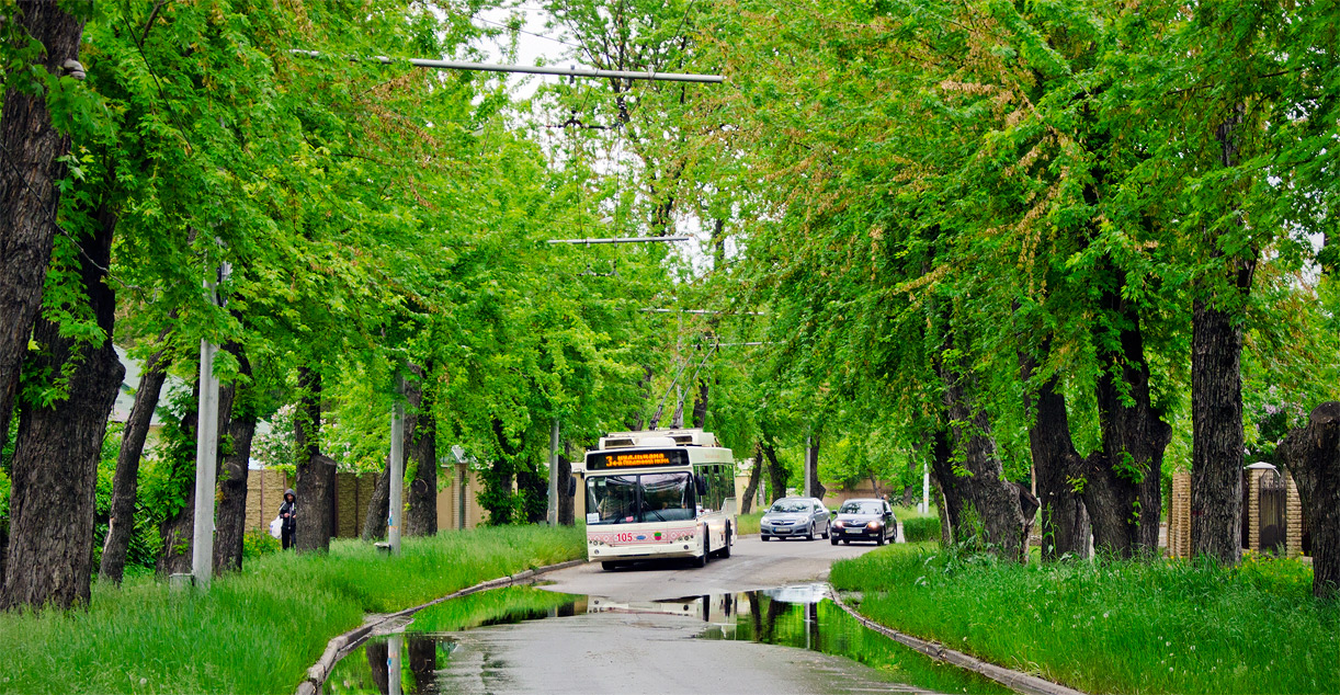 Запорожье, Дніпро Т103 № 105 Запорожье, Дніпро Т103 № 105