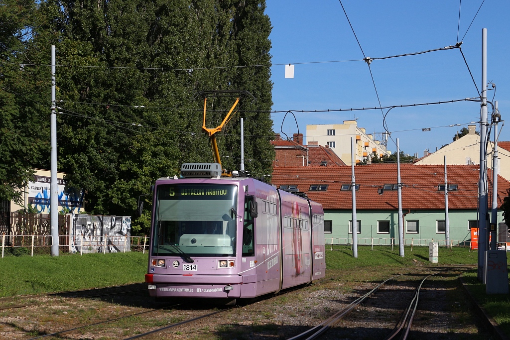 Brno, Škoda 03T6 Anitra Nr. 1814 Brno, Škoda 03T6 Anitra Nr. 1814