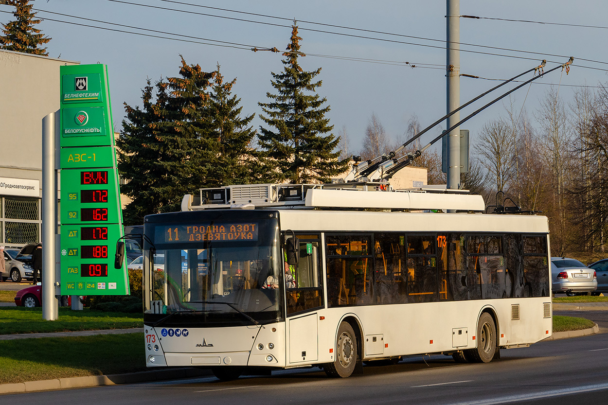 Гродно, МАЗ-203Т21 № 173