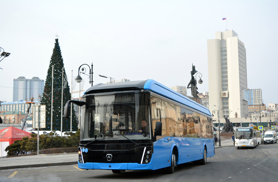 Wladiwostok, LiAZ-6274 Nr. 110