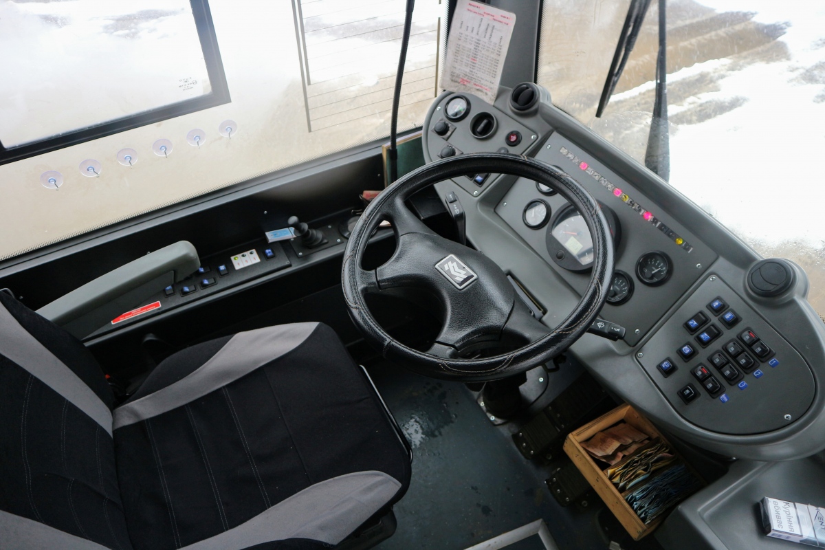 Ivano-Frankivsk, BKM 321 # 227