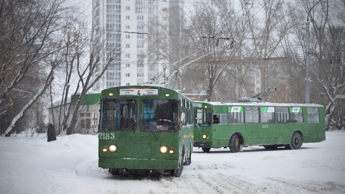 Новосибирск, ЗиУ-682Г-012 [Г0А] № 2183