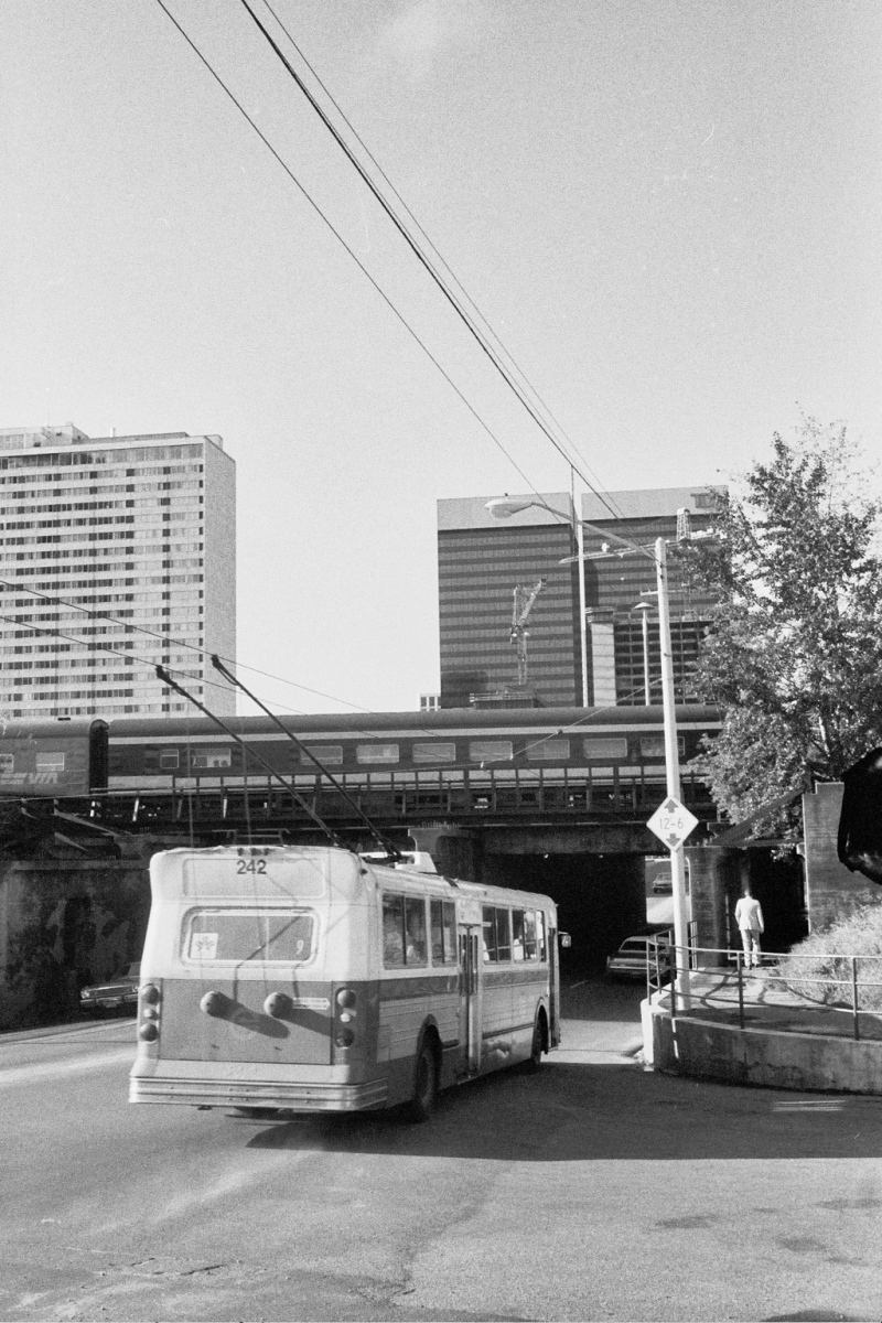 Edmonton, Flyer E800 nr. 242