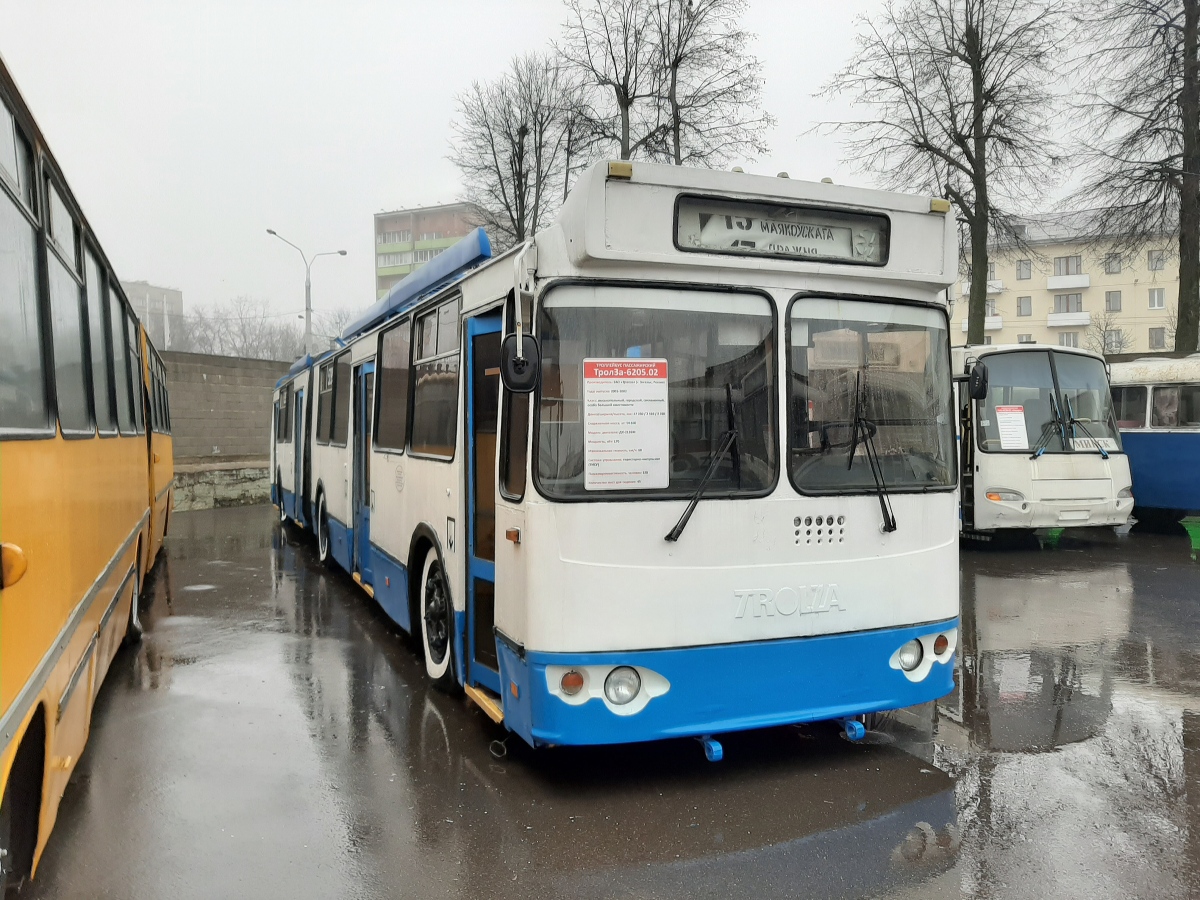 Minsk, Trolza-6205.02 [62050V] Nr. [5295]