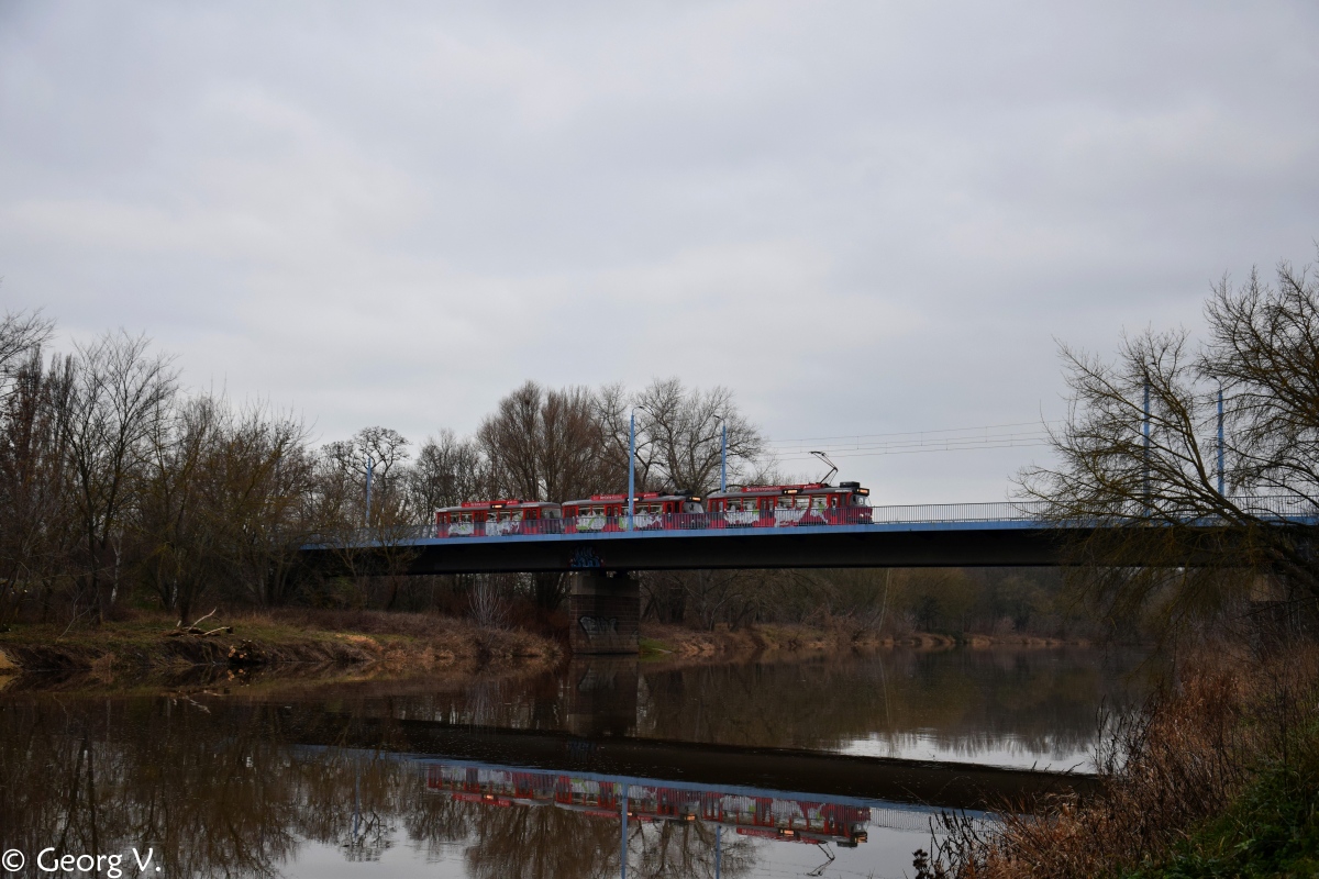 Галле — Креативные фотографии