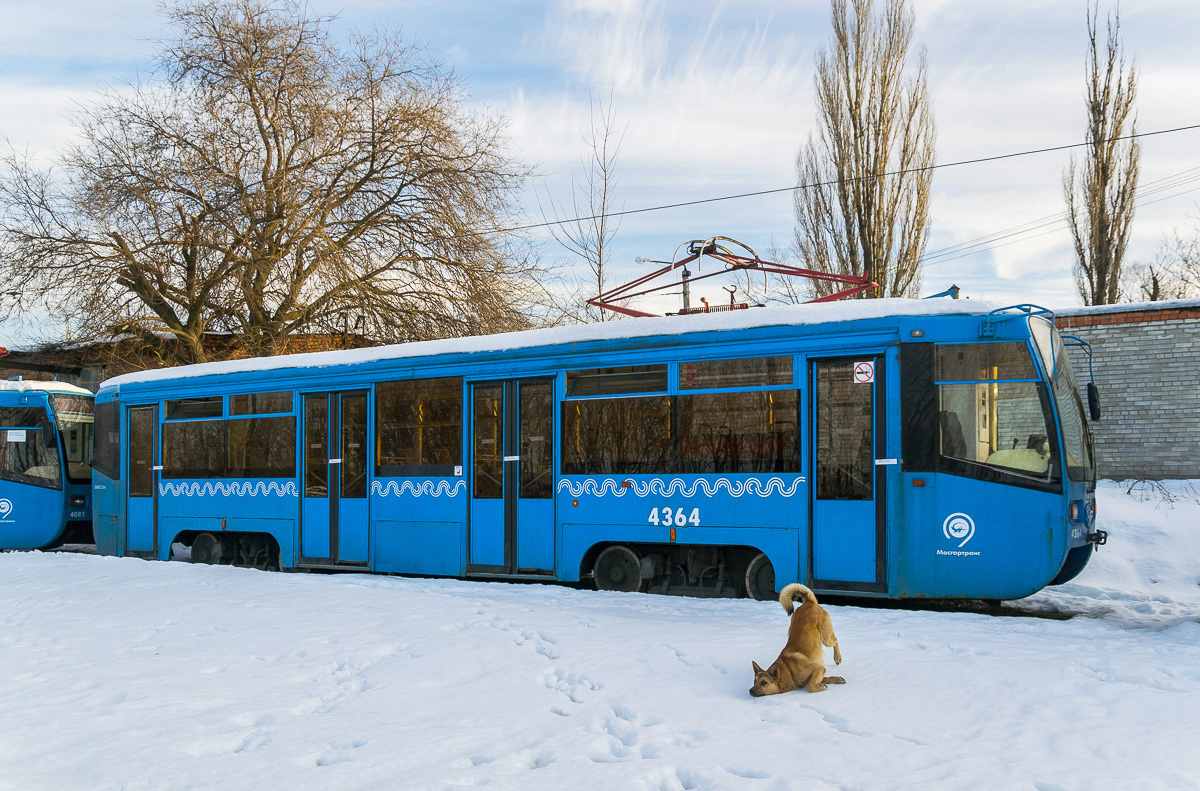 Новочеркасск, 71-619А № 209; Транспорт и животные