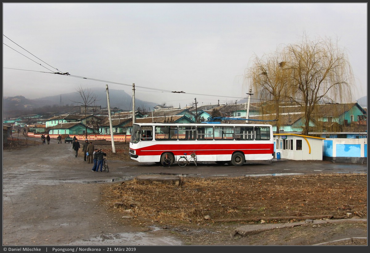 Пхёнсон, Chollima 951 (Ikarus 260) № 577