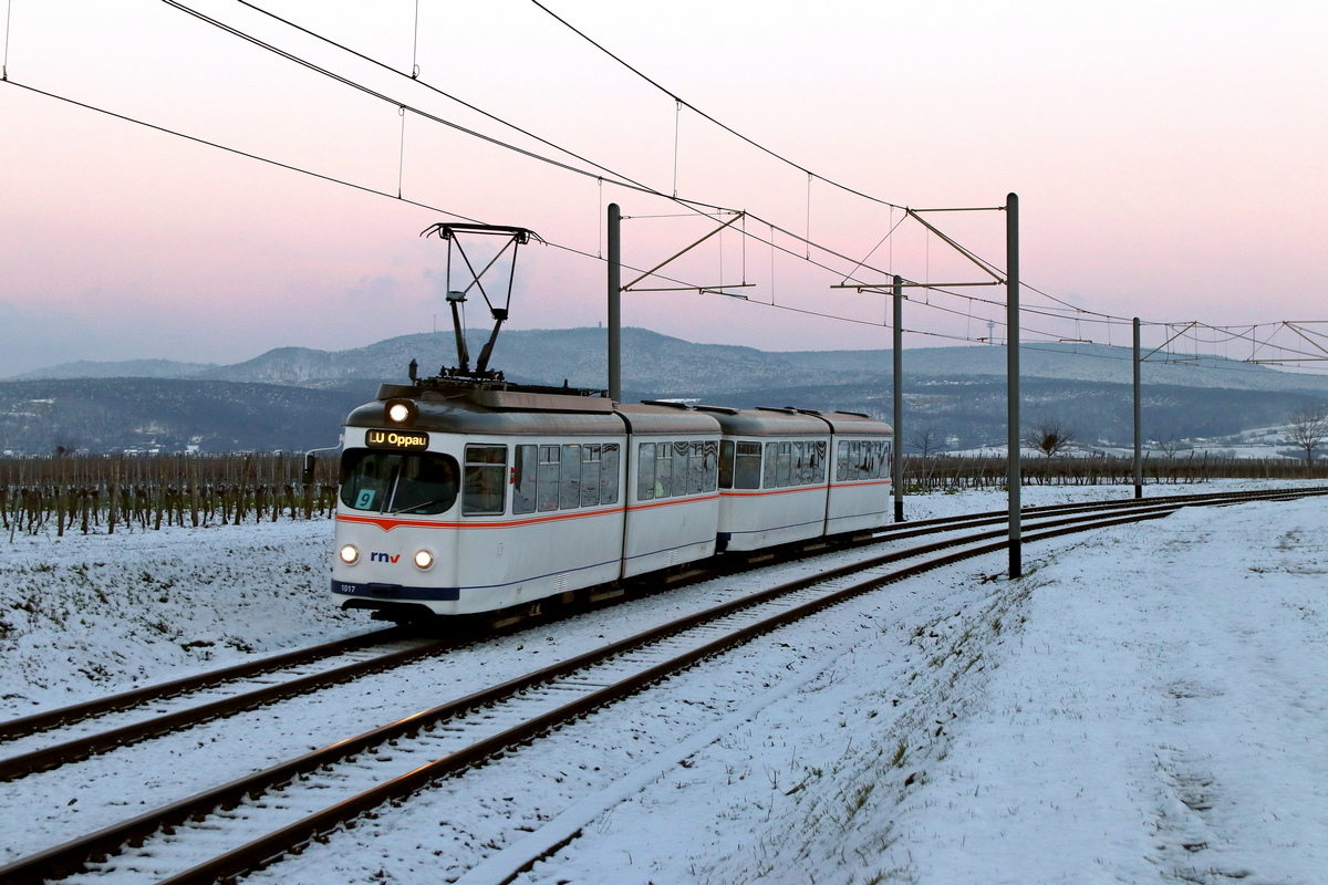 Рейн-Неккар, Duewag ET6 № 1017