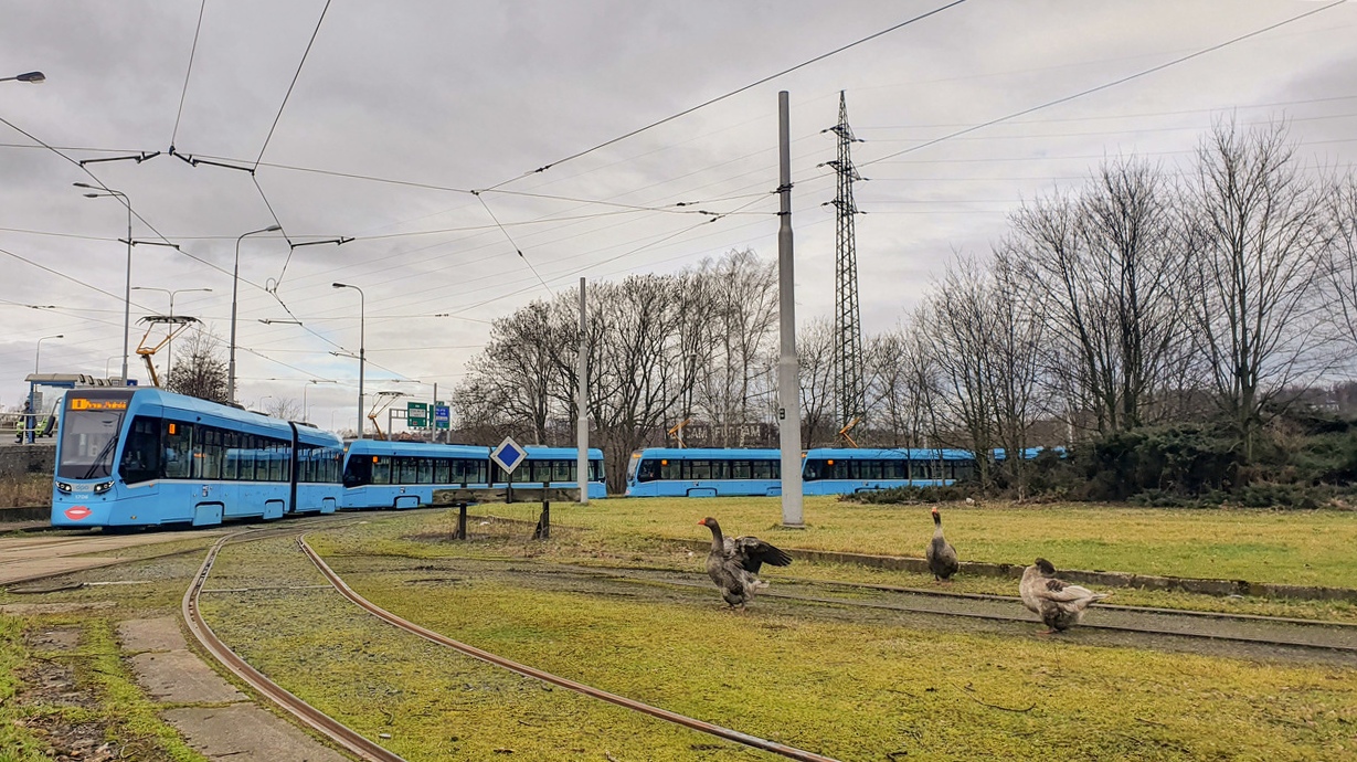 Ostrava — Tramway Lines and Infrastructure; Transport and animals Ostrava — Tramway Lines and Infrastructure; Transport and animals