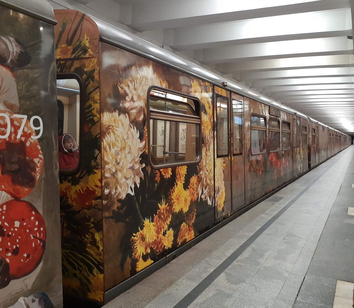 Москва, 81-741.1 «Акварель» № 5575