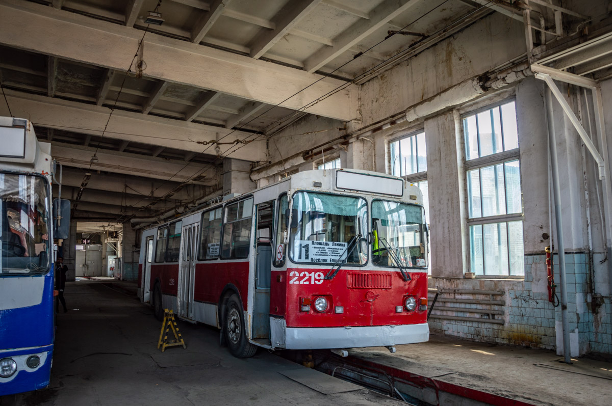 Саратов, ЗиУ-682Г-016 (012) № 2219