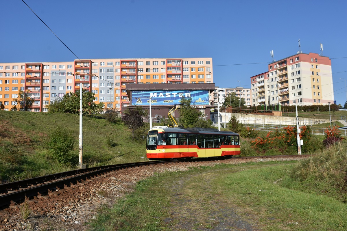 Мост ― Литвинов, Vario LF+ № 314