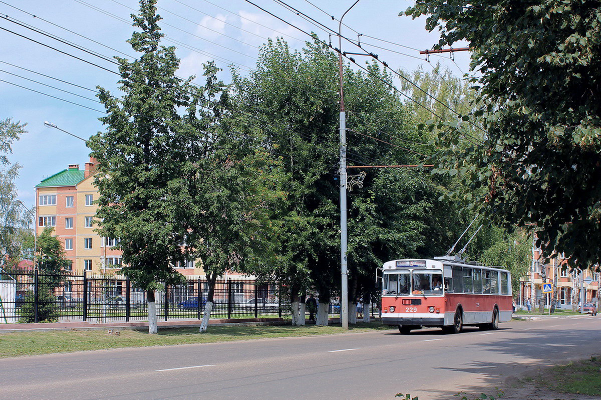 Йошкар-Ола, ЗиУ-682Г [Г00] № 229