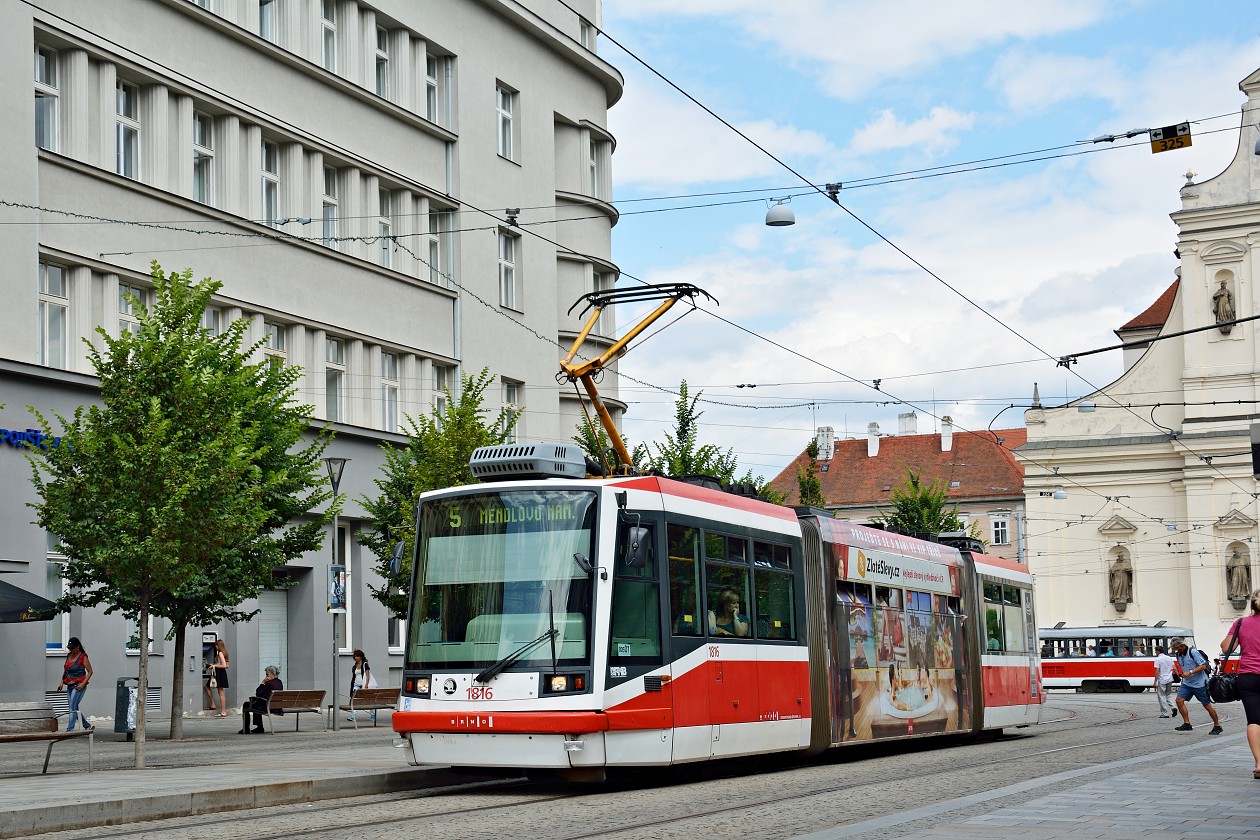 Брно, Škoda 03T6 Anitra № 1816