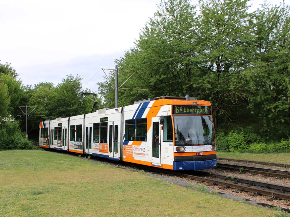 Rhein-Neckar, Duewag 6MGT č. 5602