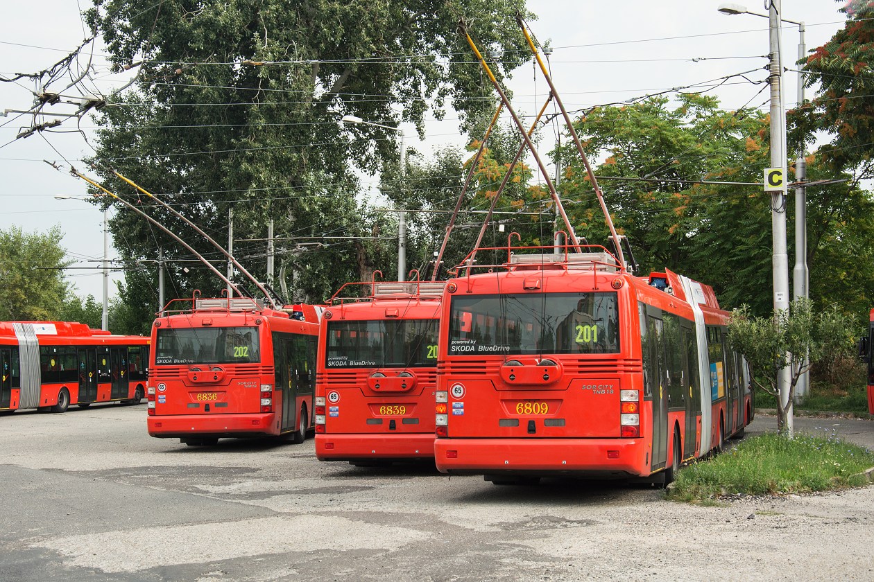 Братислава, Škoda 31Tr SOR № 6809; Братислава, Škoda 31Tr SOR № 6839; Братислава, Škoda 31Tr SOR № 6836