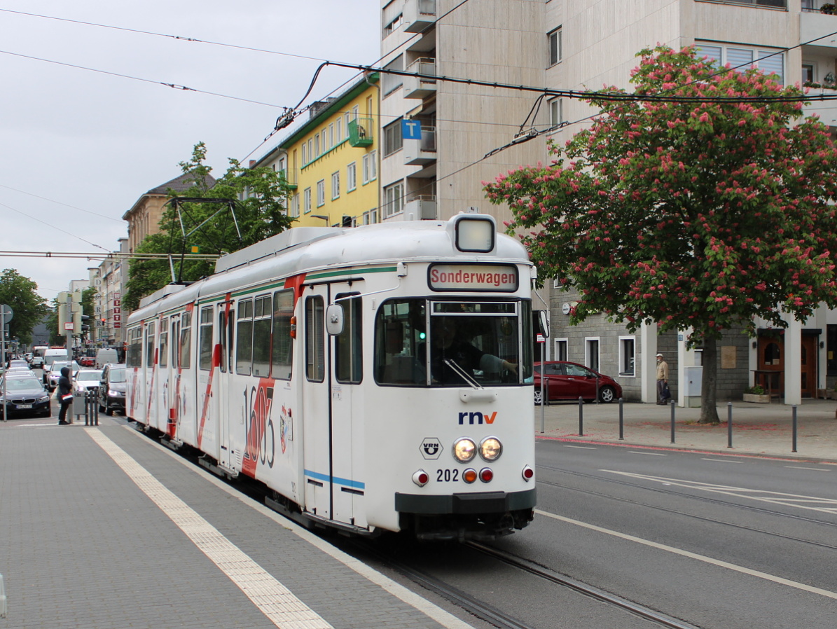 Рейн-Неккар, Duewag GT8 № 202 Рейн-Неккар, Duewag GT8 № 202