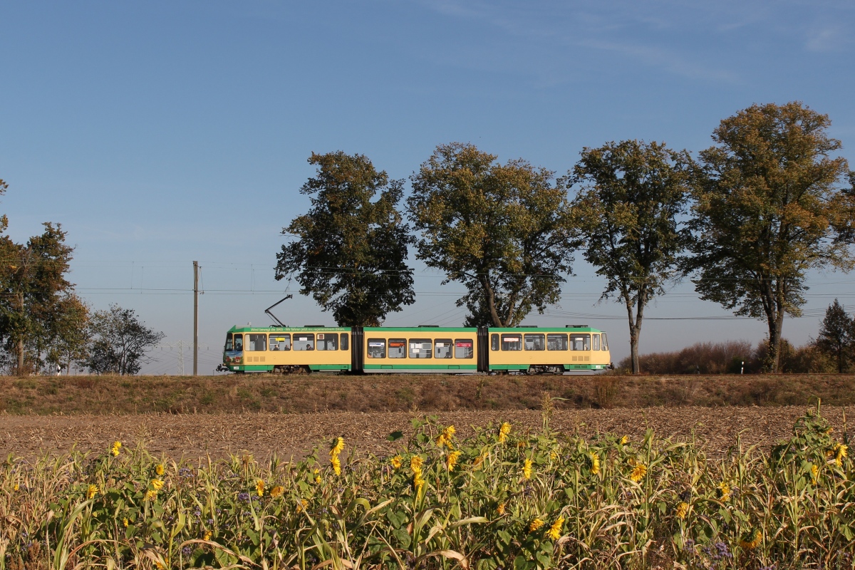 Шёнайхе – Рюдерсдорф, Tatra KTNF6 № 28