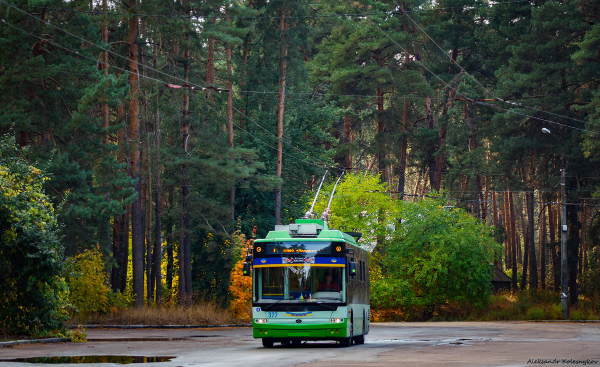 Черкассы, Богдан Т70117 № 377