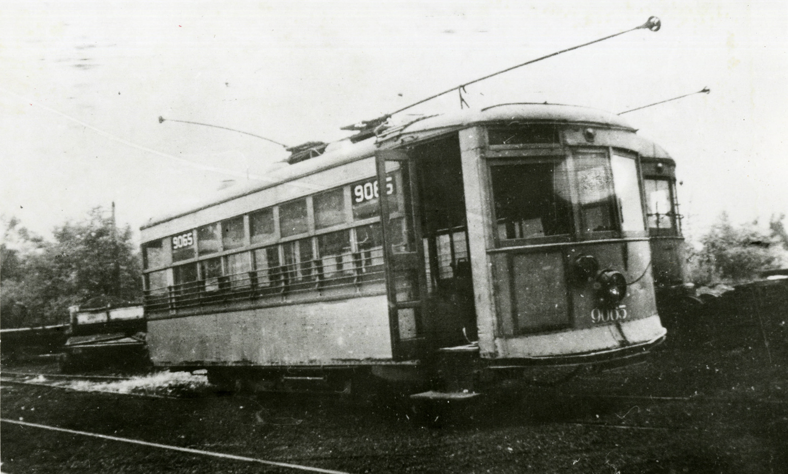 Аллайнс, Birney № 9065
