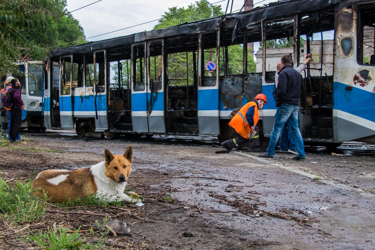 დნიპრო, 71-608KM № 2227; დნიპრო — Collisions; Transport and animals