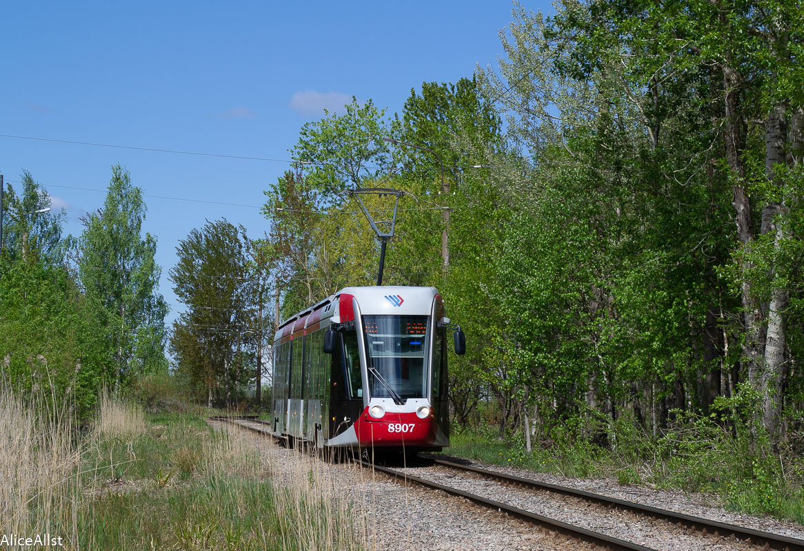 Санкт-Петербург, 71-801 (Alstom Citadis 301 CIS) № 8907