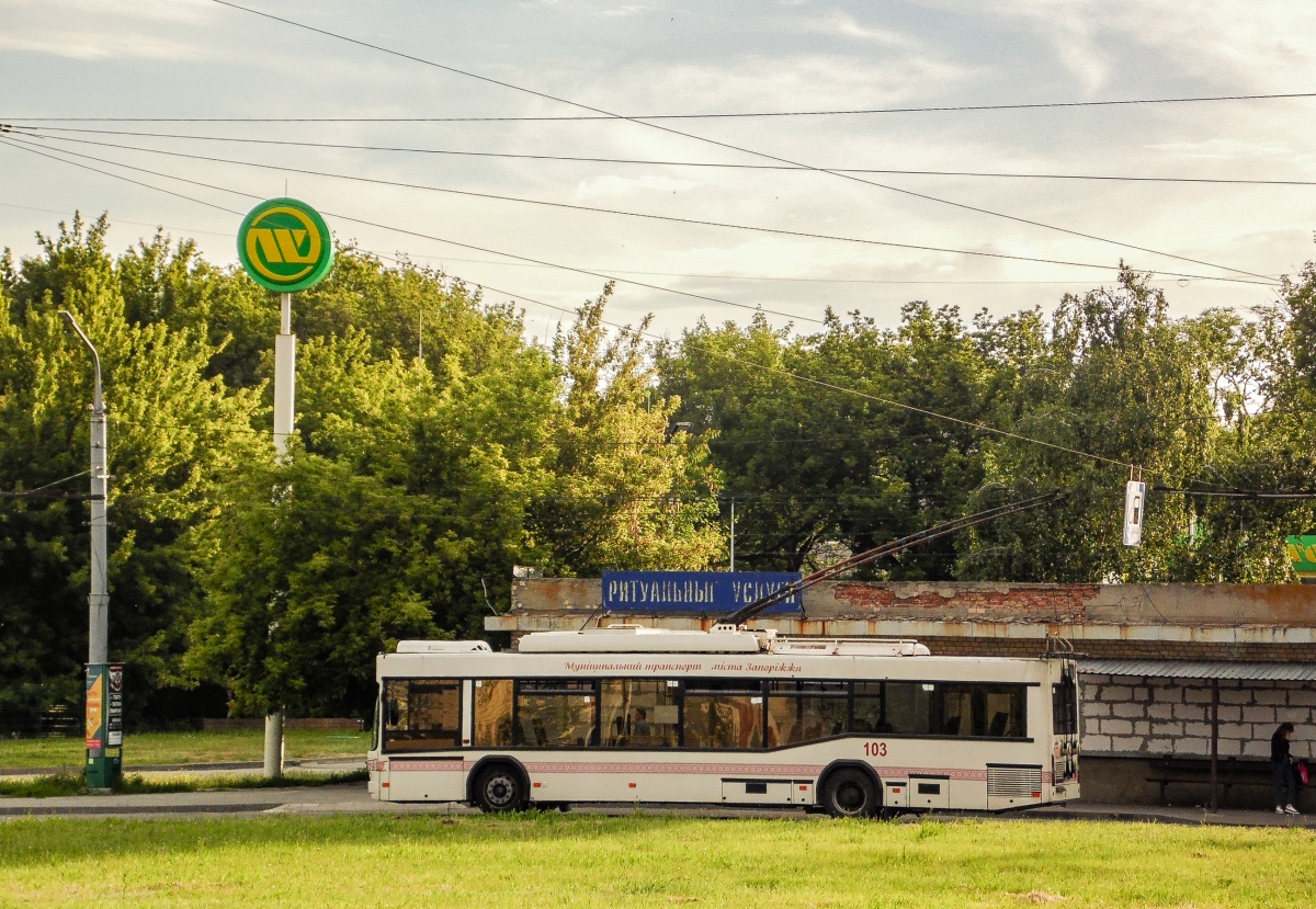 Zaporoże, Dnipro T103 Nr 103 Zaporoże, Dnipro T103 Nr 103