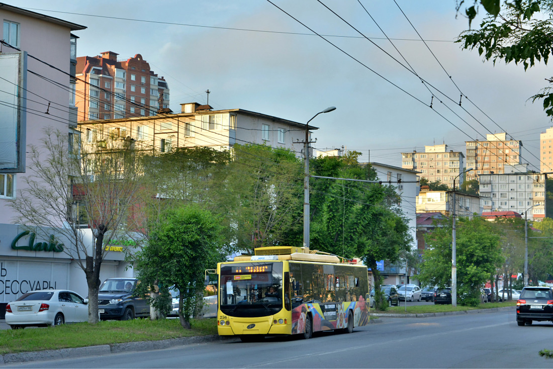 Владивосток, ВМЗ-5298.01 «Авангард» № 256; Владивосток — Тематические  троллейбусы