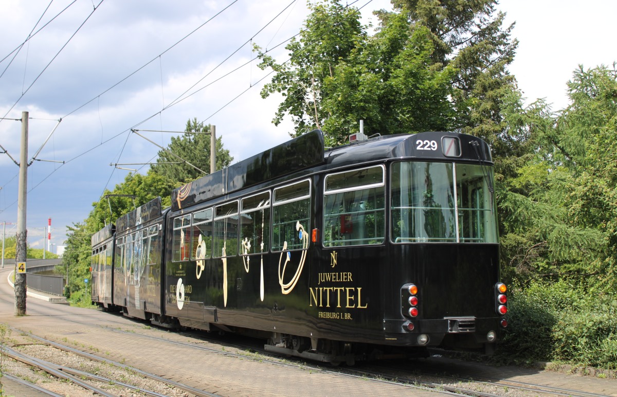 Фрайбург-в-Брайсгау, Duewag GT8NF № 229