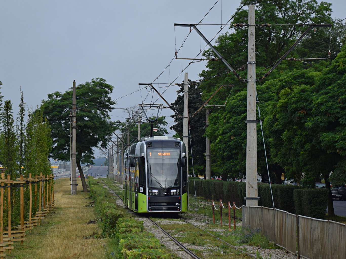 Гожув-Велькопольский, PESA Twist 2015N № 314