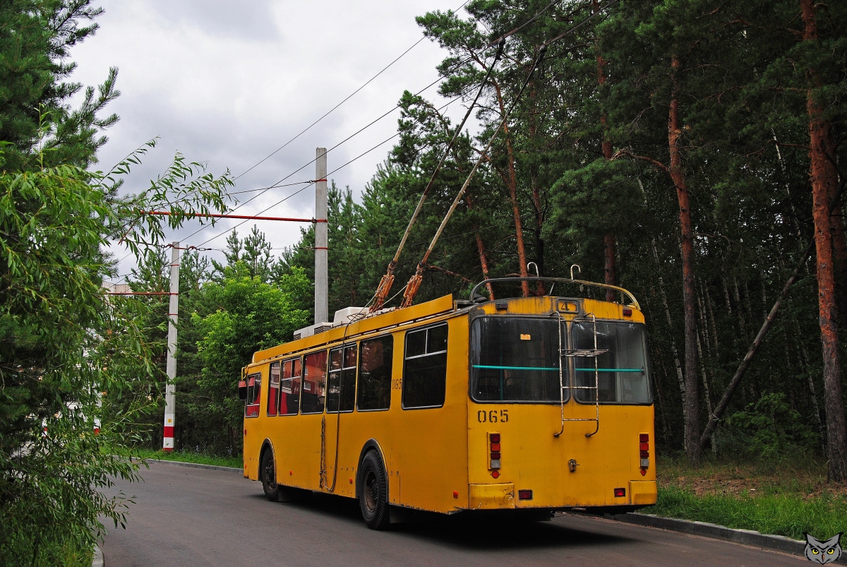 Дзержинск, ЗиУ-682Г-016.02 № 065