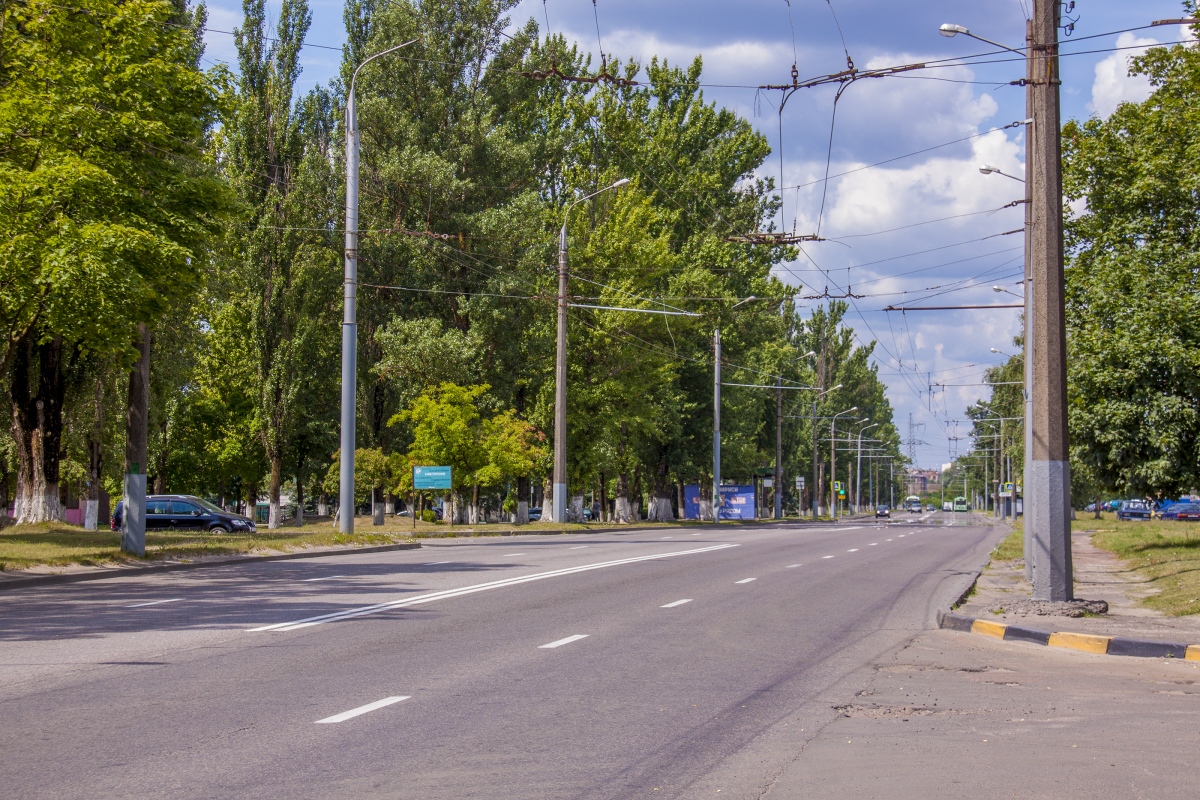 Гомель — Троллейбусные линии и инфраструктура