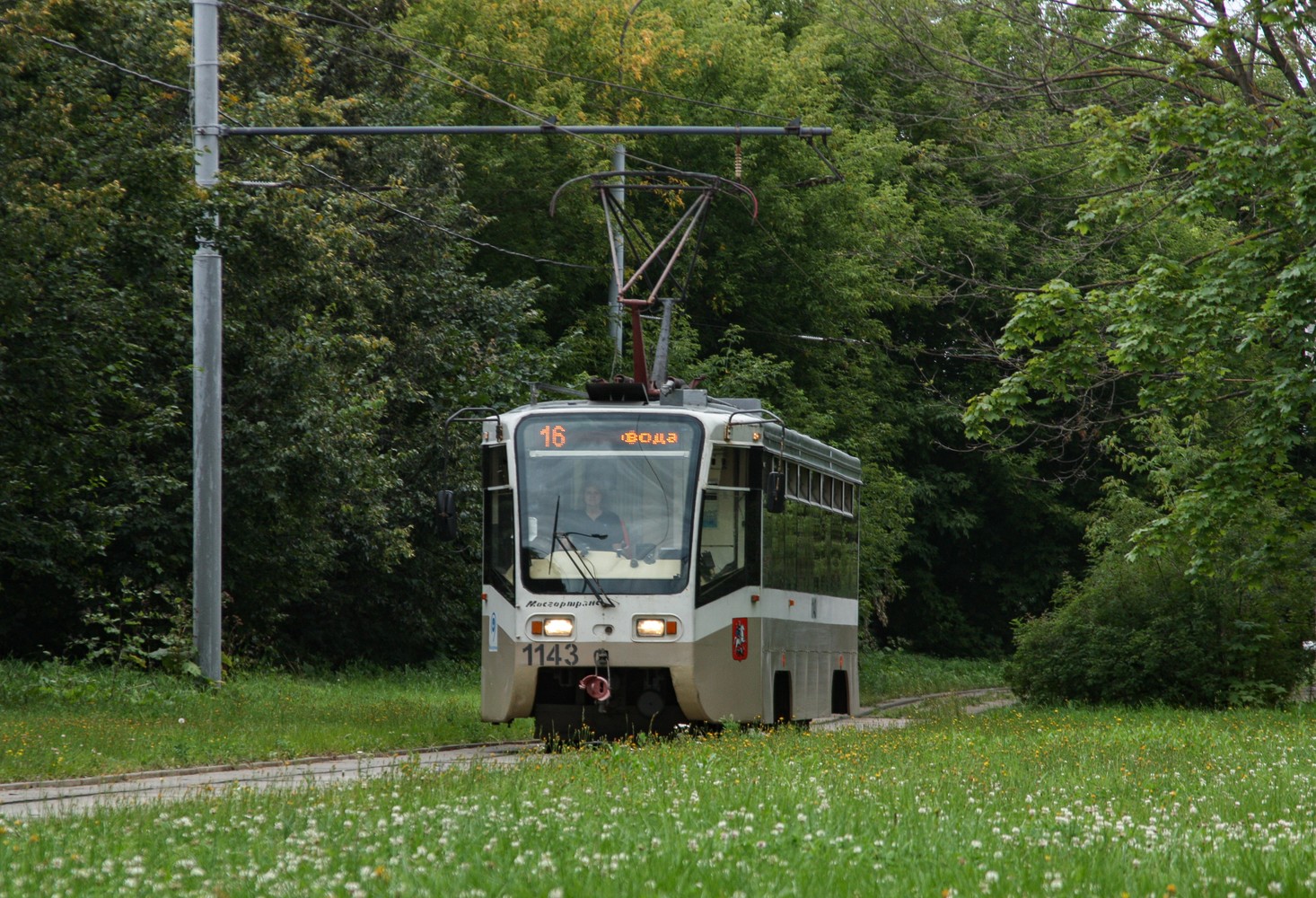 Москва, 71-619А № 1143