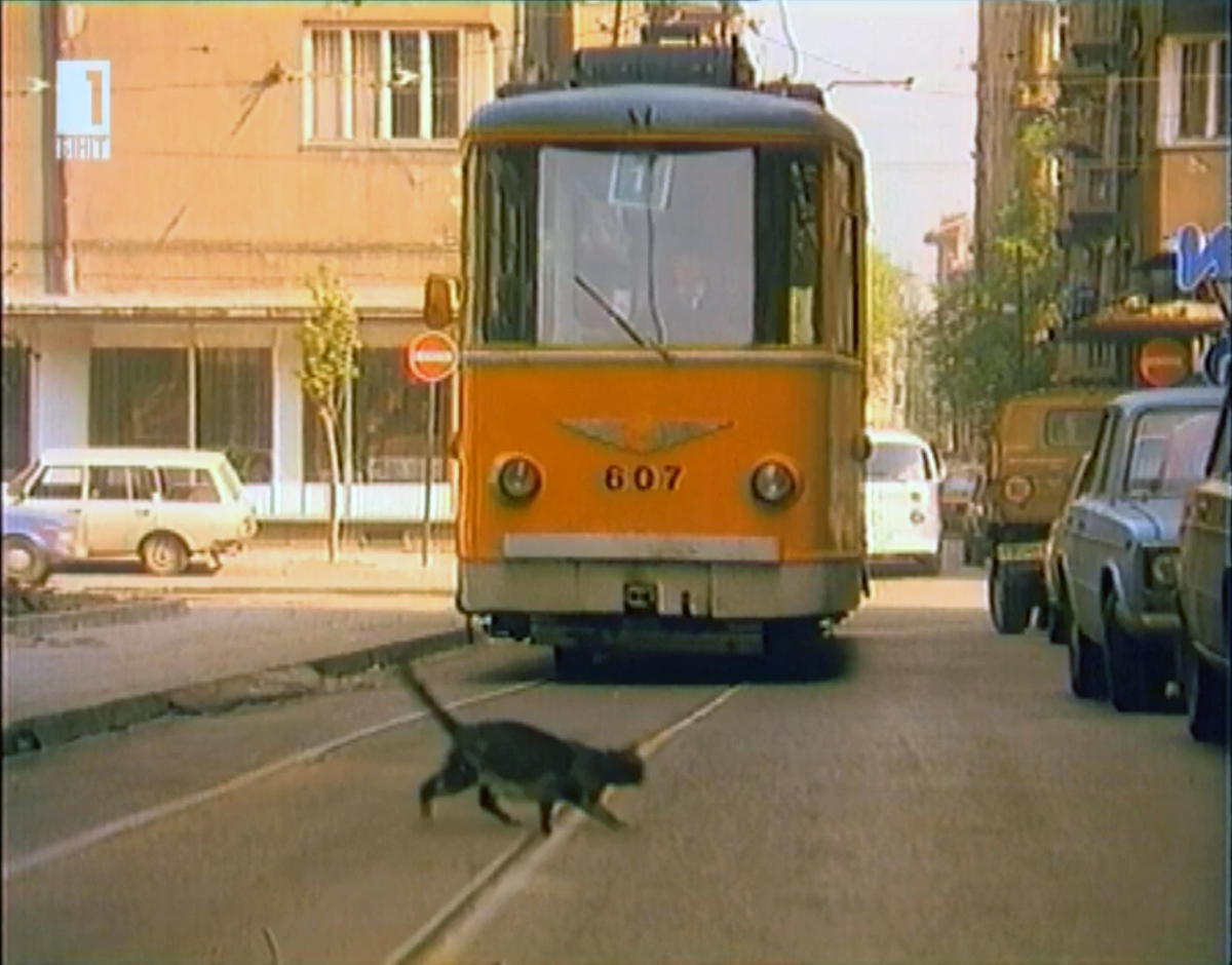София, София-65 № 607; София — Исторически снимки — Трамвайни мотриси (1945–1989); София — Снимки от филми; Транспорт и животные