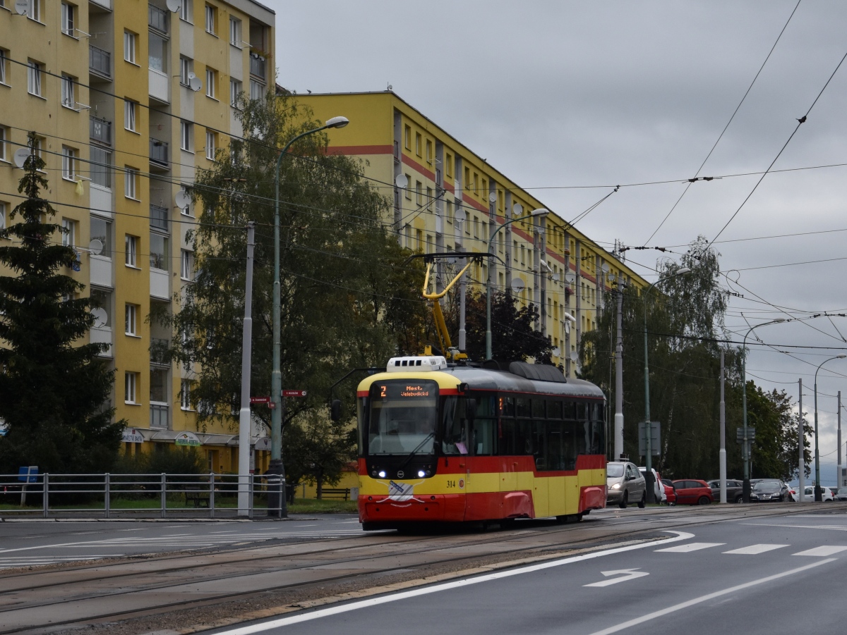 Мост ― Литвинов, Vario LF+ № 314