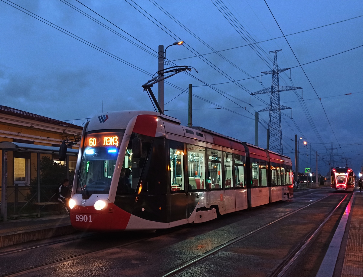 Санкт-Петербург, 71-801 (Alstom Citadis 301 CIS) № 8901