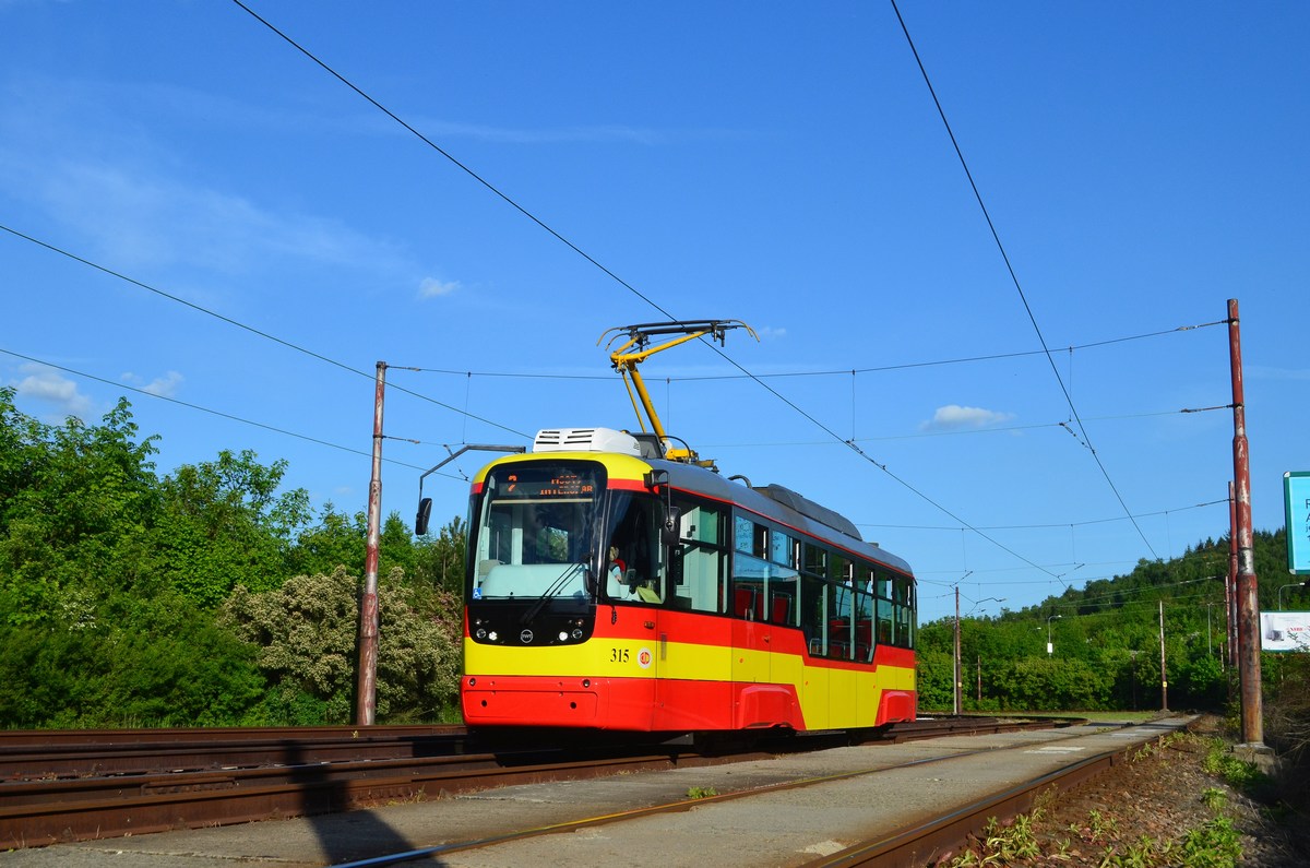 Мост ― Литвинов, Vario LF+ № 315