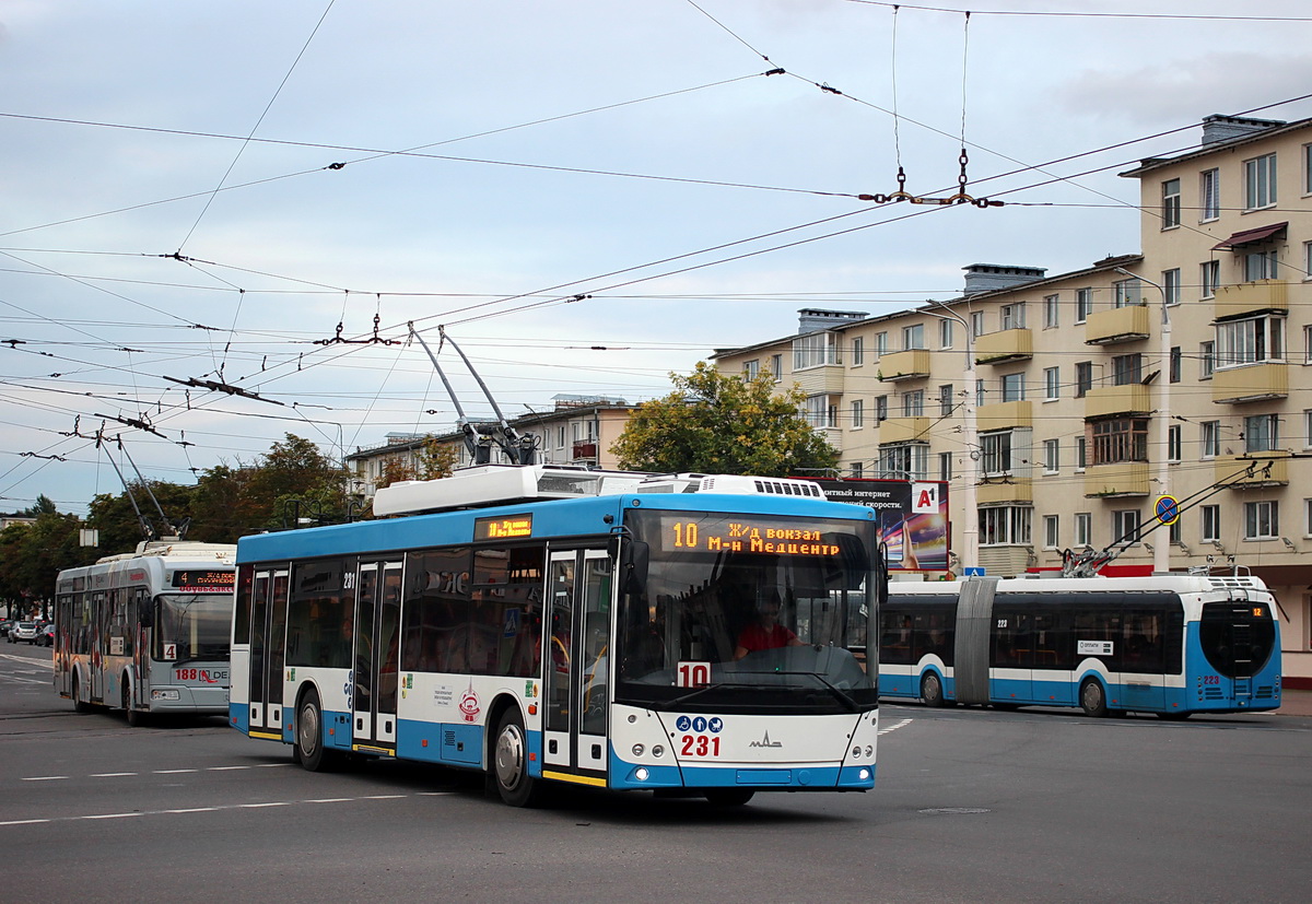 Витебск, МАЗ-203Т70 № 231