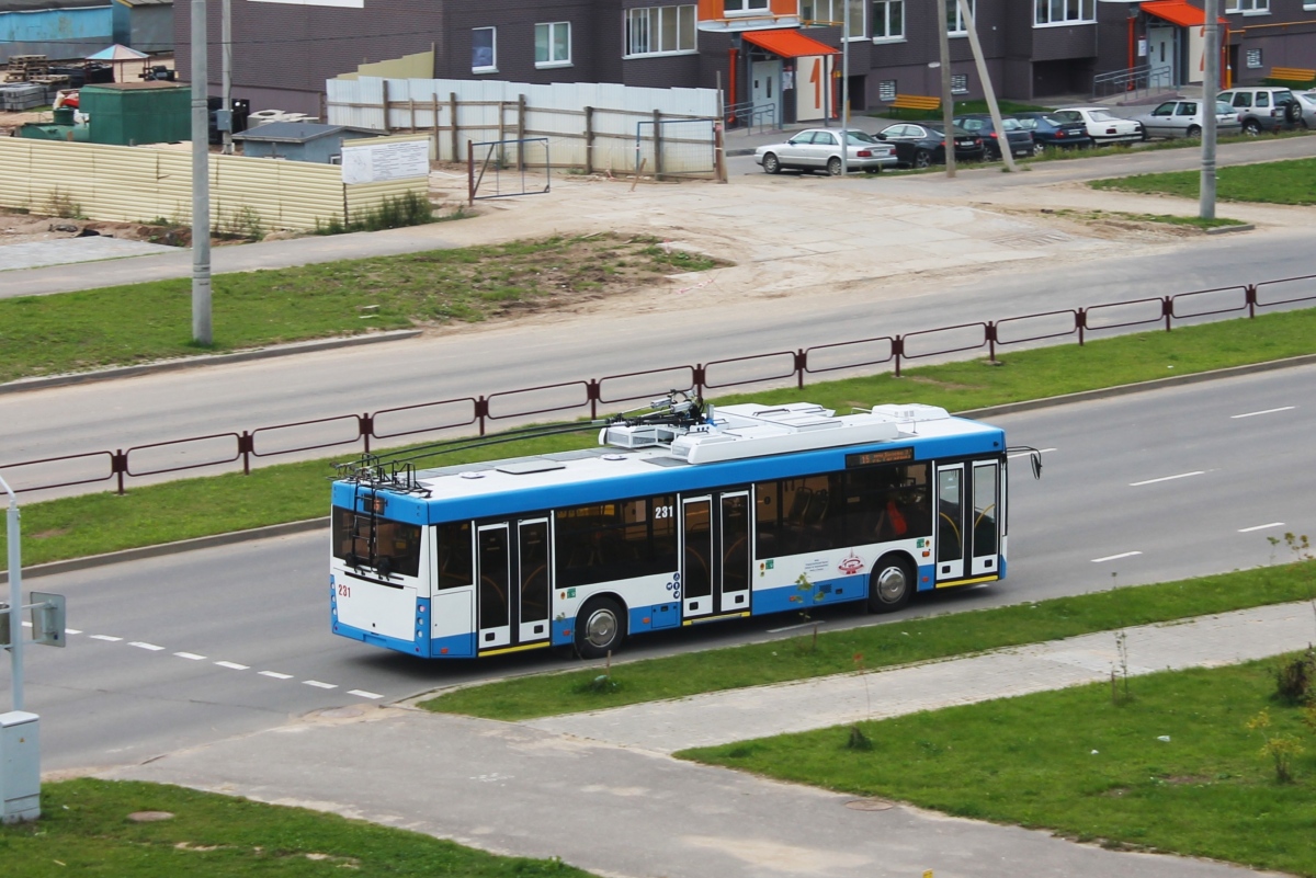 Витебск, МАЗ-203Т70 № 231