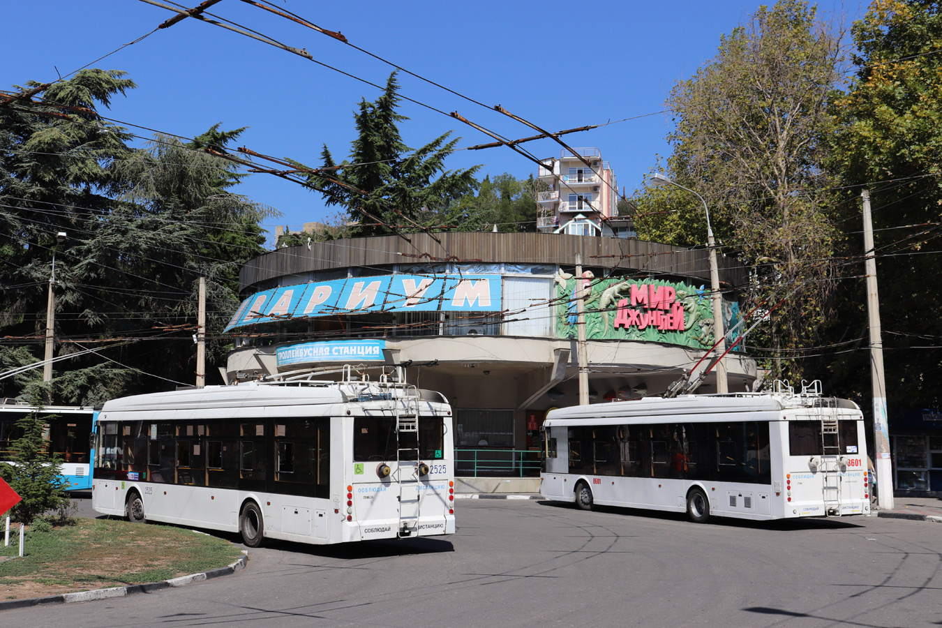 Крымский троллейбус, Тролза-5265.02 «Мегаполис» № 2525; Крымский троллейбус, Тролза-5265.05 «Мегаполис» № 8601