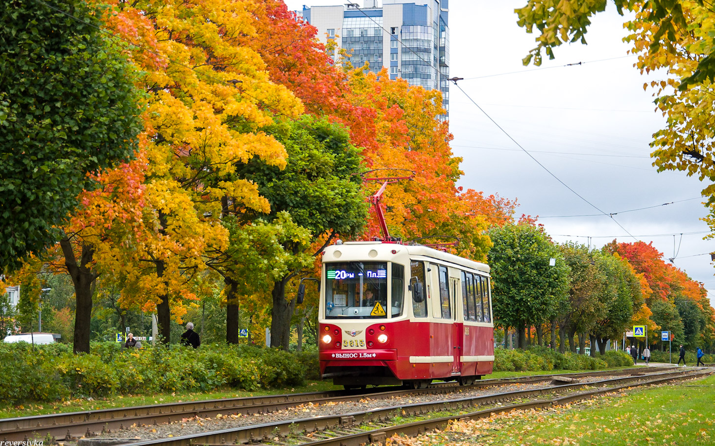 Санкт-Петербург, ТС-77 № 3615