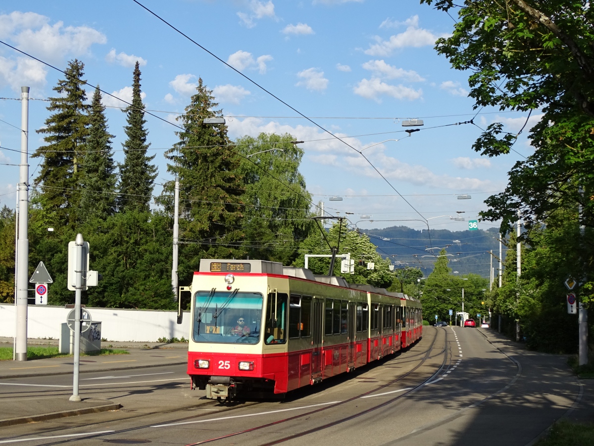 Цюрих, SWS/SWP/MFO Be 8/8 № 25-26