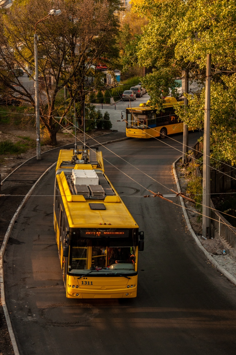 Kiova, Bogdan Т90110 # 1311