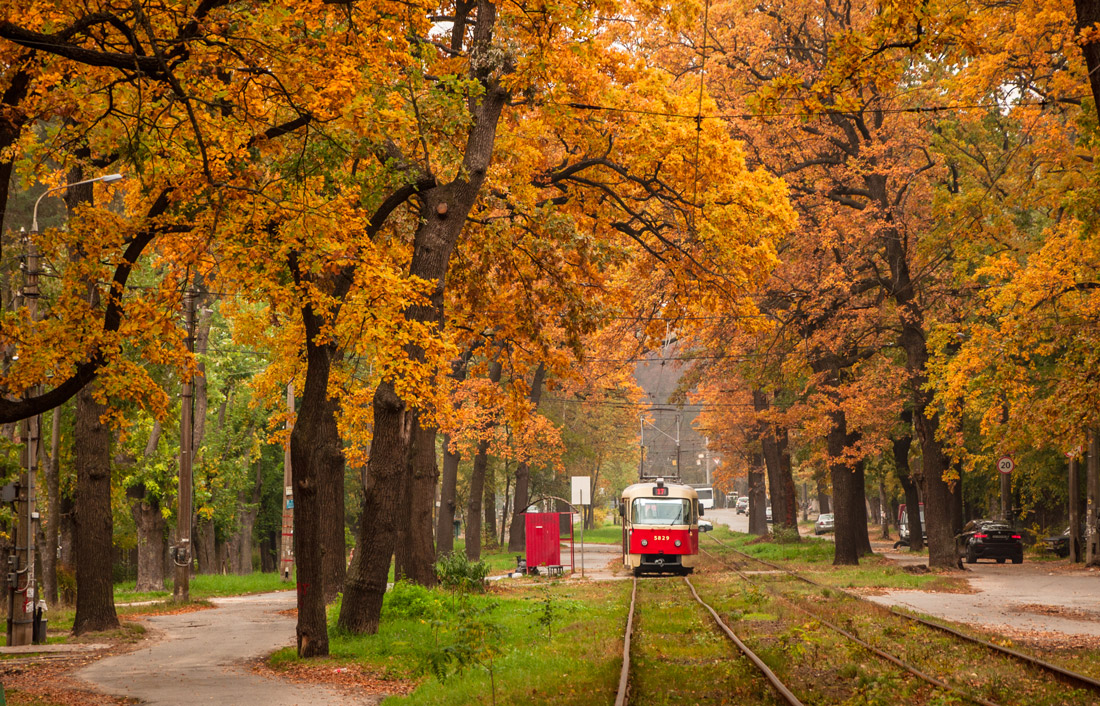 Киев — Трамвайные линии: Подольская сеть — север