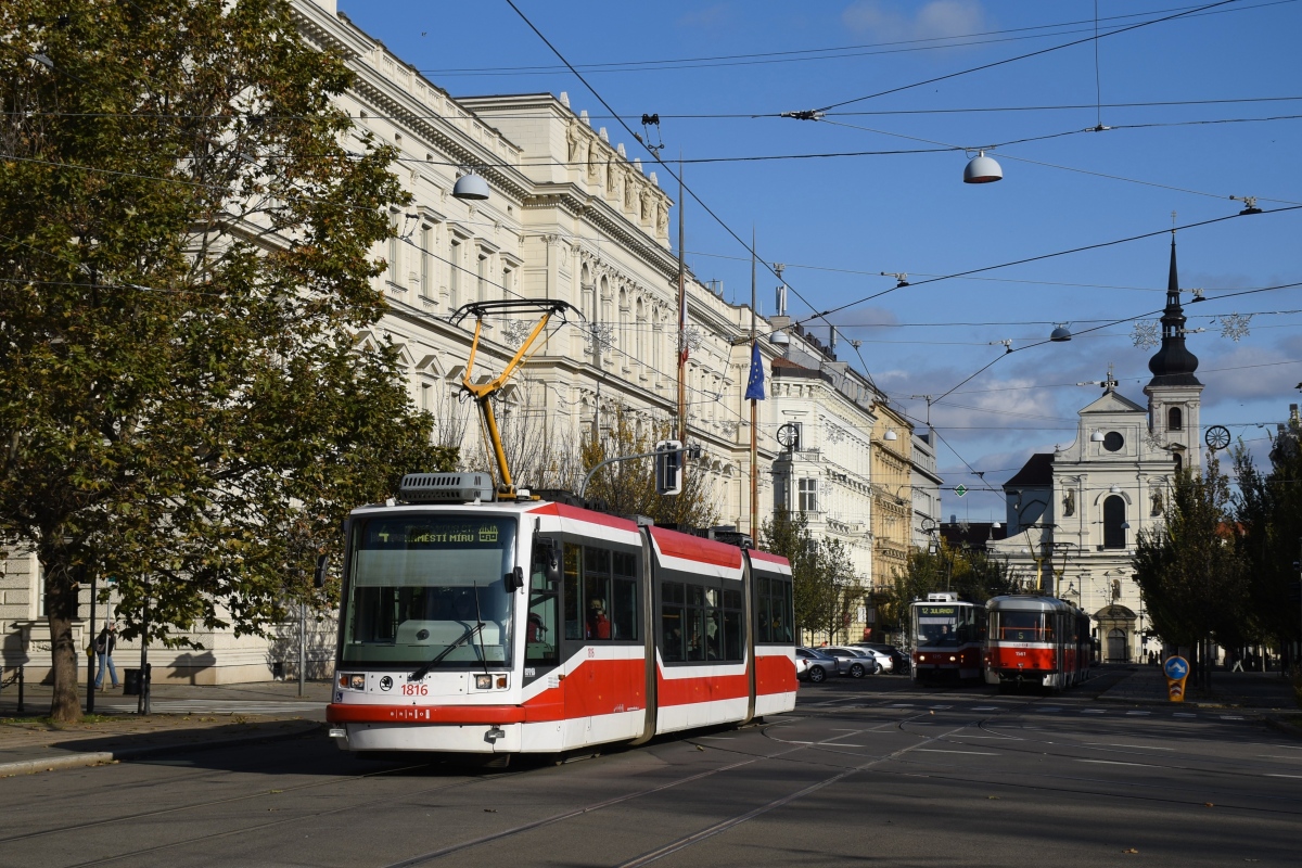 Брно, Škoda 03T6 Anitra № 1816