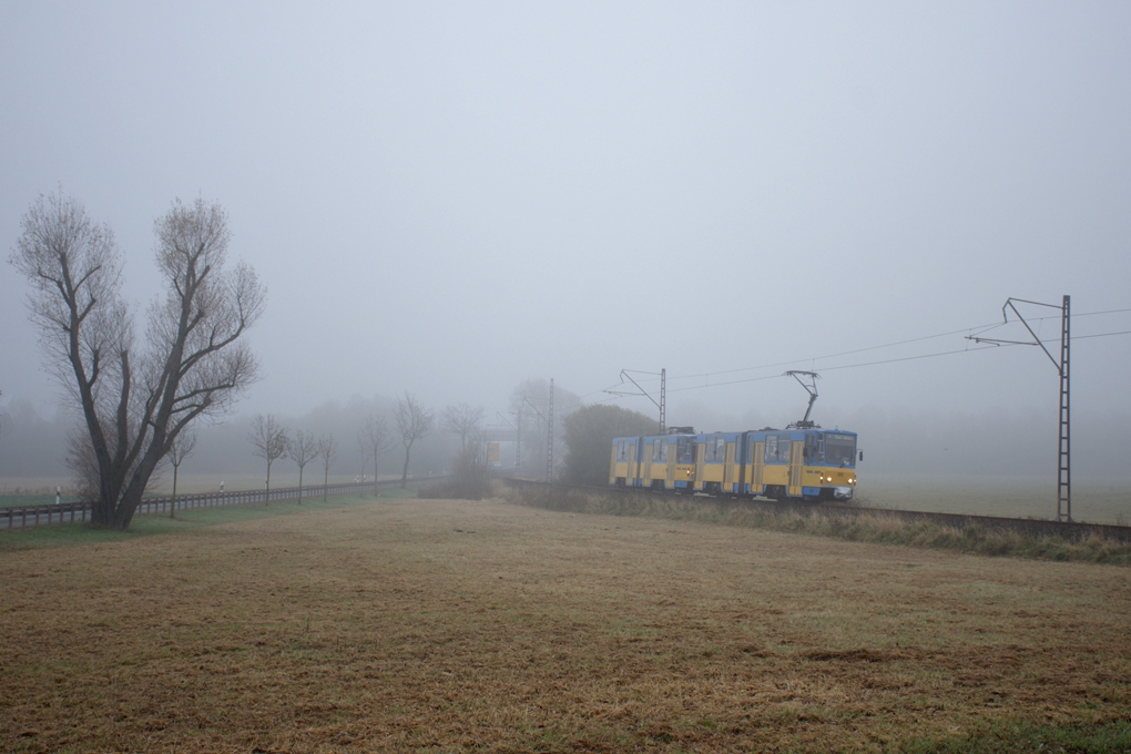 Гота, Tatra KT4DC № 309