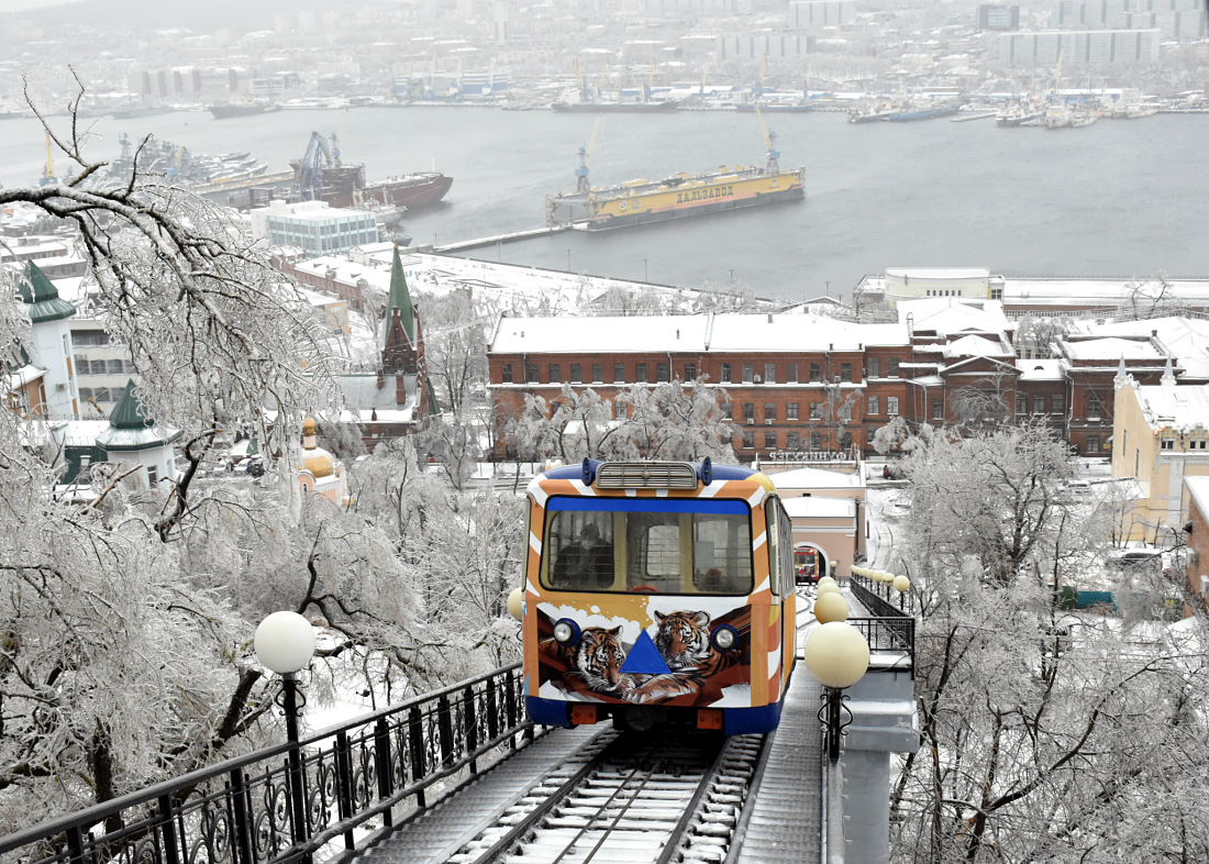 Владивосток, ЛВРЗ-1 № 1; Владивосток — Ледяной Шторм 19.11.2020-20.11.2020