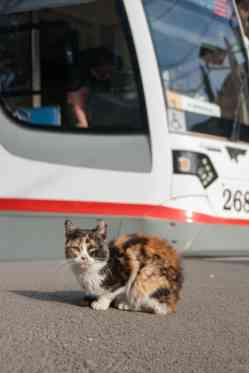 334 КБ