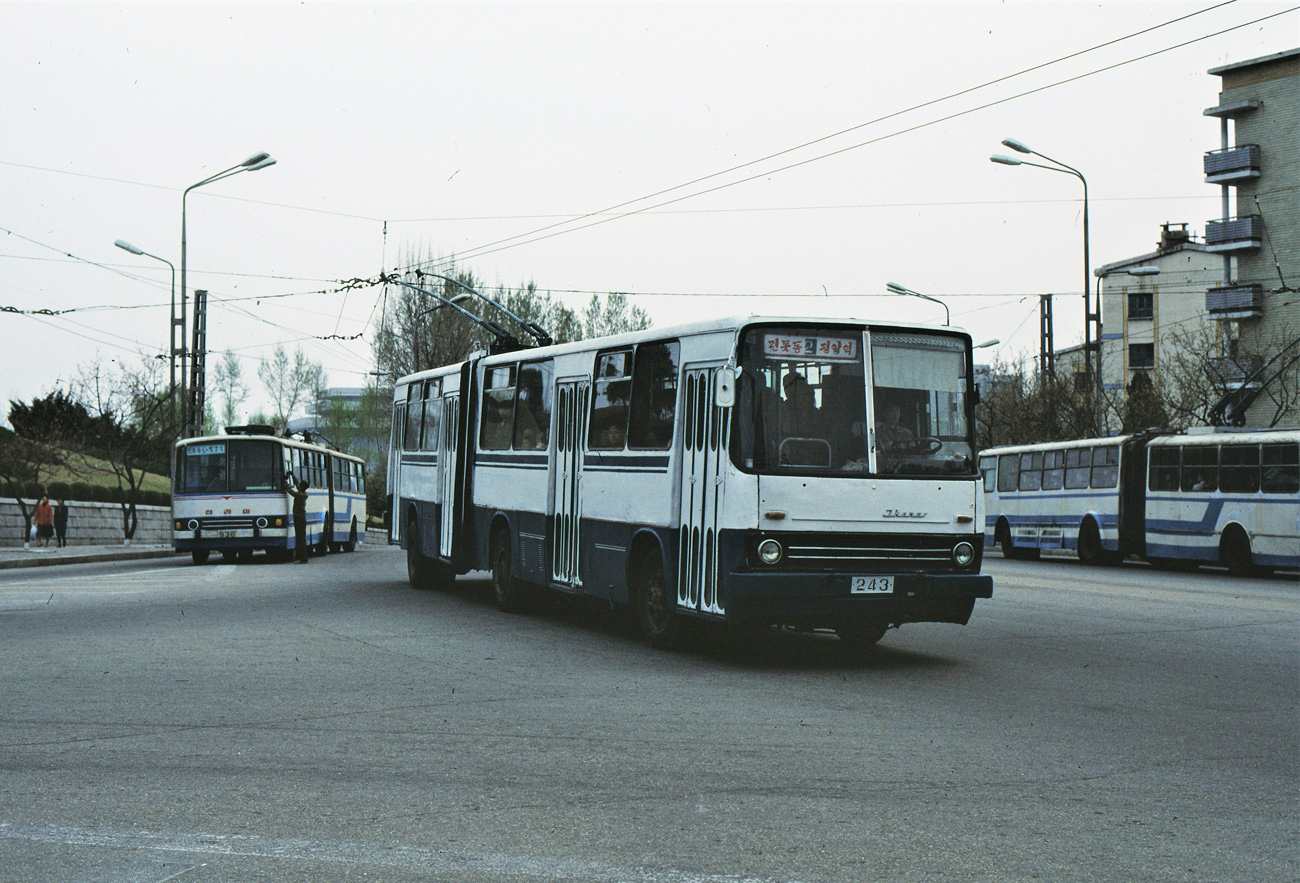 Пхеньян, Chollima 951 (Ikarus 280) № 243; Пхеньян, Chollima 862 № 936; Пхеньян — Исторические фотографии — Трамвай и Троллейбус (1991+)